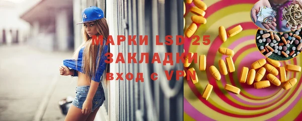 гидра Каменногорск