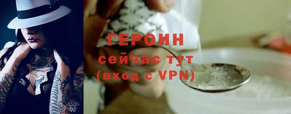 гидра Каменногорск