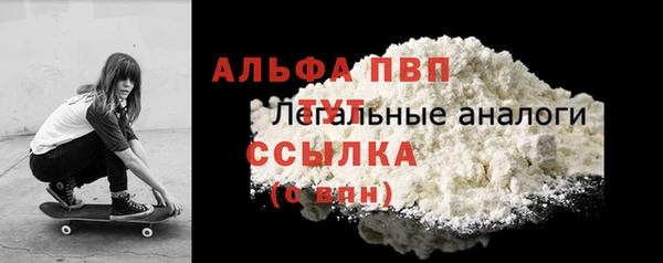 гидра Каменногорск