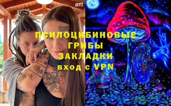 гидра Каменногорск