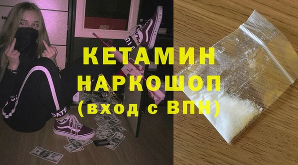 гидра Каменногорск