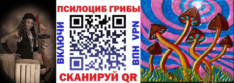 Купить закладки  Микунь  Псилоцибиновые грибы Cubensis 